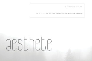 Aesthete Display Font for Calm Campaigns