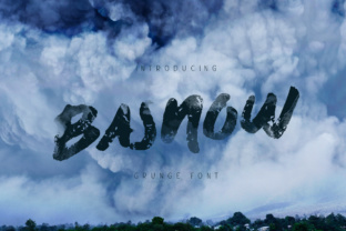 Basnow Grunge: The Display Typeface for Scroll-Stopping Visuals