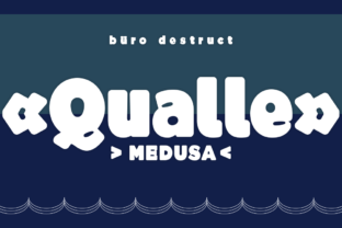 BD Qualle: The Bold Display Font for Scroll-Stopping Campaigns