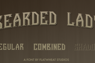 Bearded Lady: The Vintage Circus Typeface for Bold Campaigns
