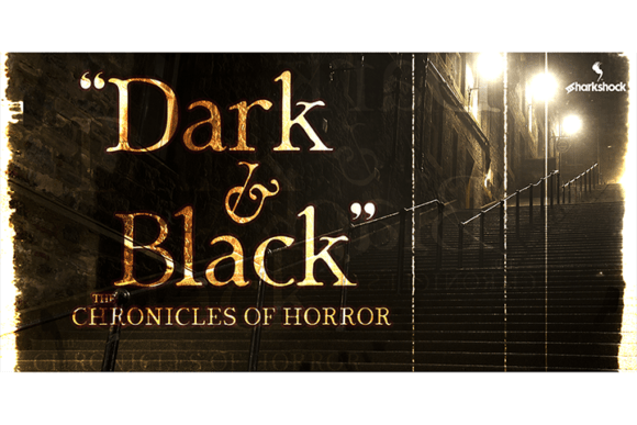 Dark Black: The Premium Serif Font for Polished Brand Identity