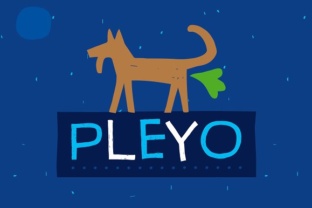 Pleyo: The Versatile Display Font for Every Maker's Brand