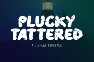 Plucky Tattered: A Modern Display Font Review