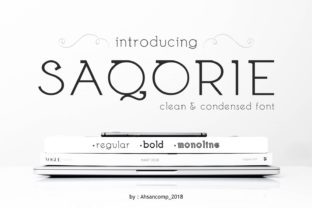 Saqorie Family: A Modern Display Typeface for Makers