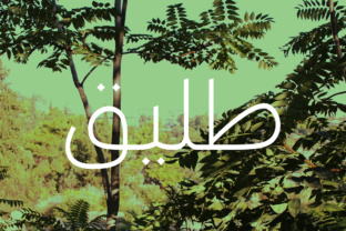 Taleeq - Arabic Typeface for Fluent Digital Experiences