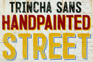 Trincha: A Display Font for Authentic Brand Identity